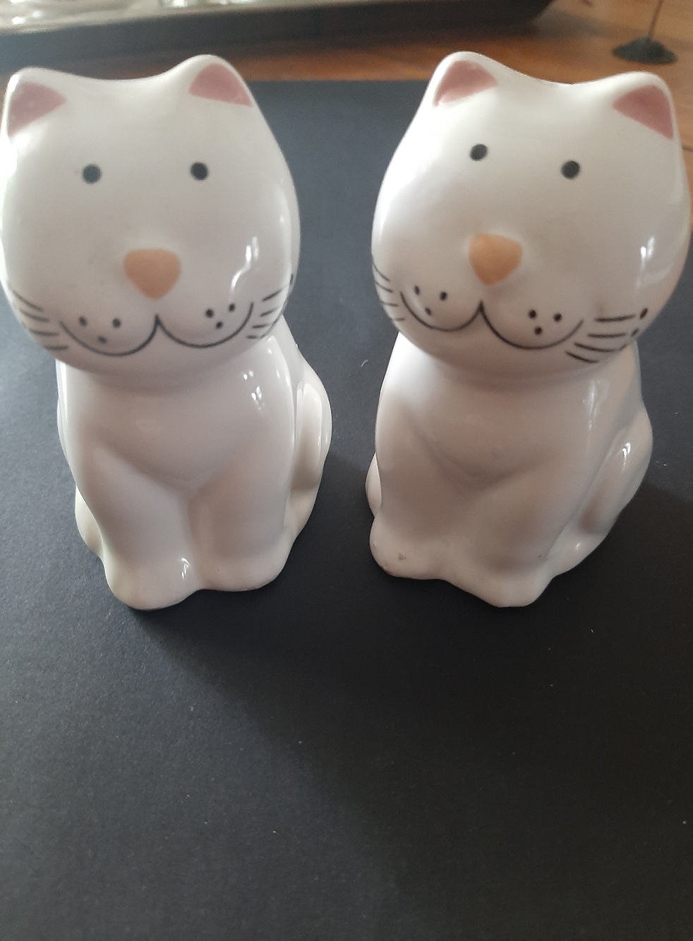 White Ceramic Cat Salt & Pepper Shaker Set